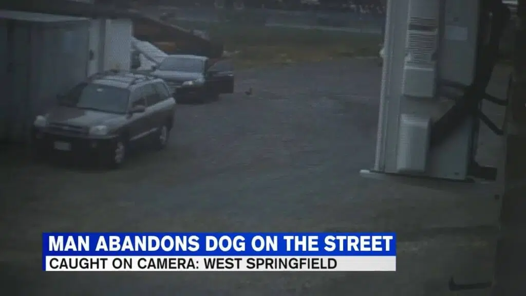 Video shows man abandoning dog at West Springfield business.mp4 snapshot 00.28.279
