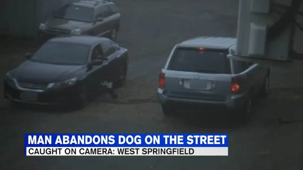 Video shows man abandoning dog at West Springfield business.mp4 snapshot 00.37.710