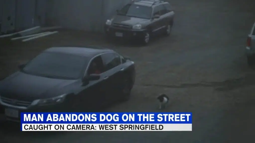 Video shows man abandoning dog at West Springfield business.mp4 snapshot 00.44.602