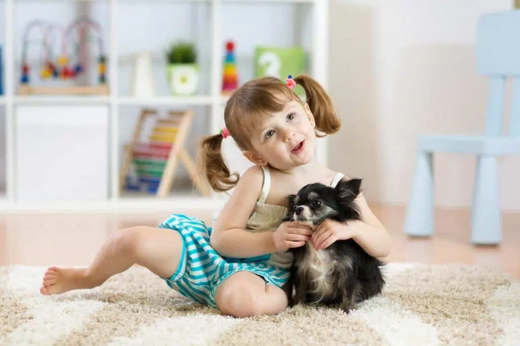 Are Chihuahuas good with kids or not?
