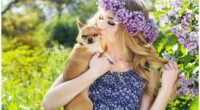 Does Human Perfume Affect Dogs