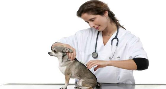 Hot Spots in Chihuahua 2