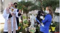 Camp Zama chaplain blesses communitys pets