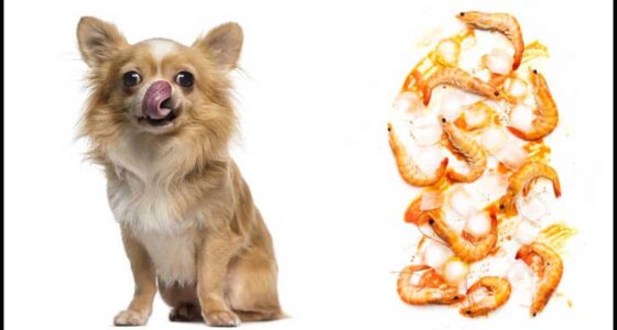 Can Dogs Eat Shrimp Alternatives to Your Dogs Favorites Seafood