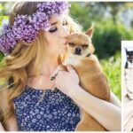 Chihuahua Perfumes: Safe Scents for Your Pup