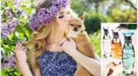 Dog Perfume DIY Safe and Effective Scents for Your Pup