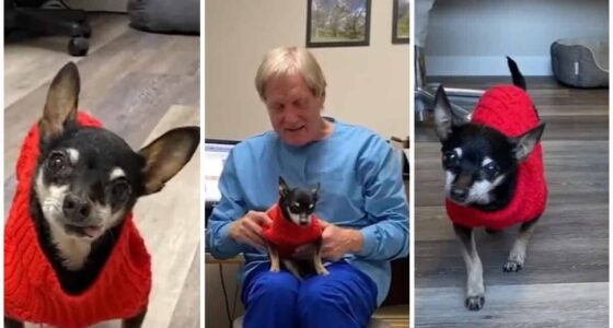 Facebook Link Preview Photo 1