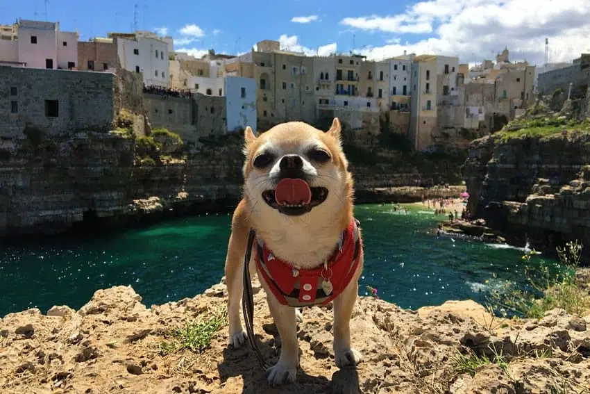 Miami Polignano a Mare Apulia