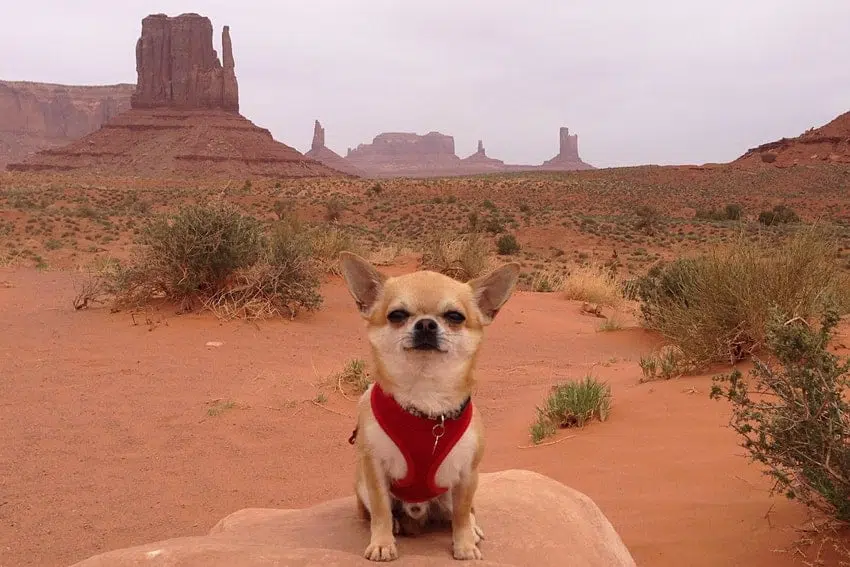 Monument Valley Utha copia