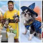 This Philly Pet Fashion Designer and his Five Chihuahuas