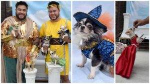 Read more about the article This Philly Pet Fashion Designer and his Five Chihuahuas