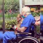 Chihuahua Saved Veteran Who Suffered a Stroke