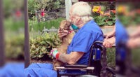 Chihuahua Saved Veteran Who Suffered a Stroke - Chihuacorner.com