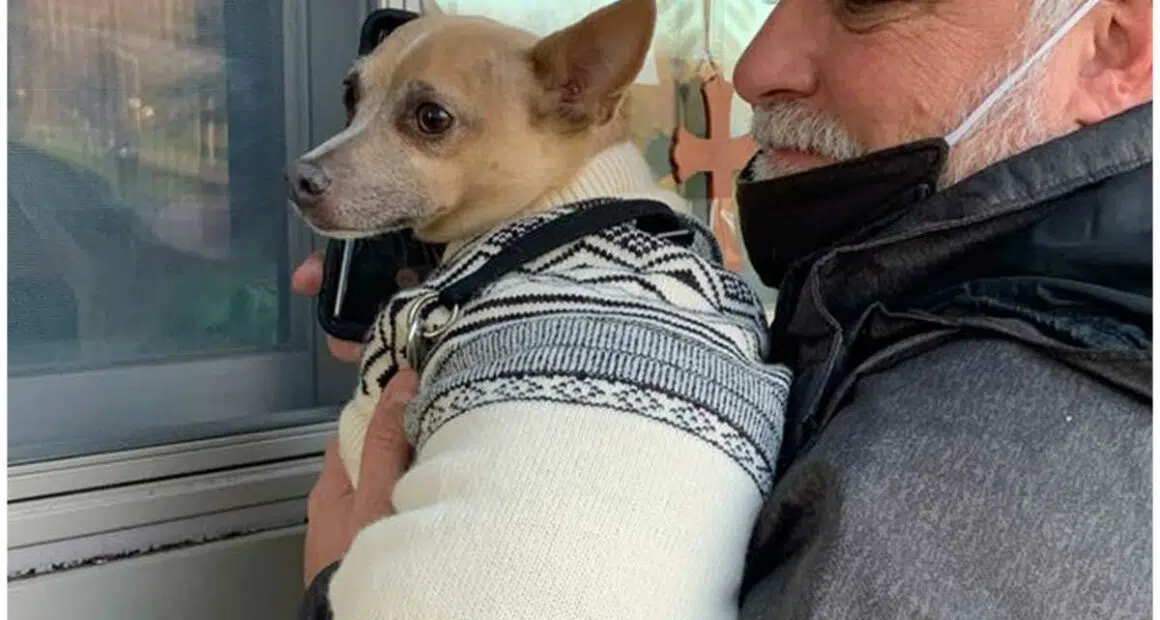 Family Chihuahua lifts spirits of Valley View resident with window visit