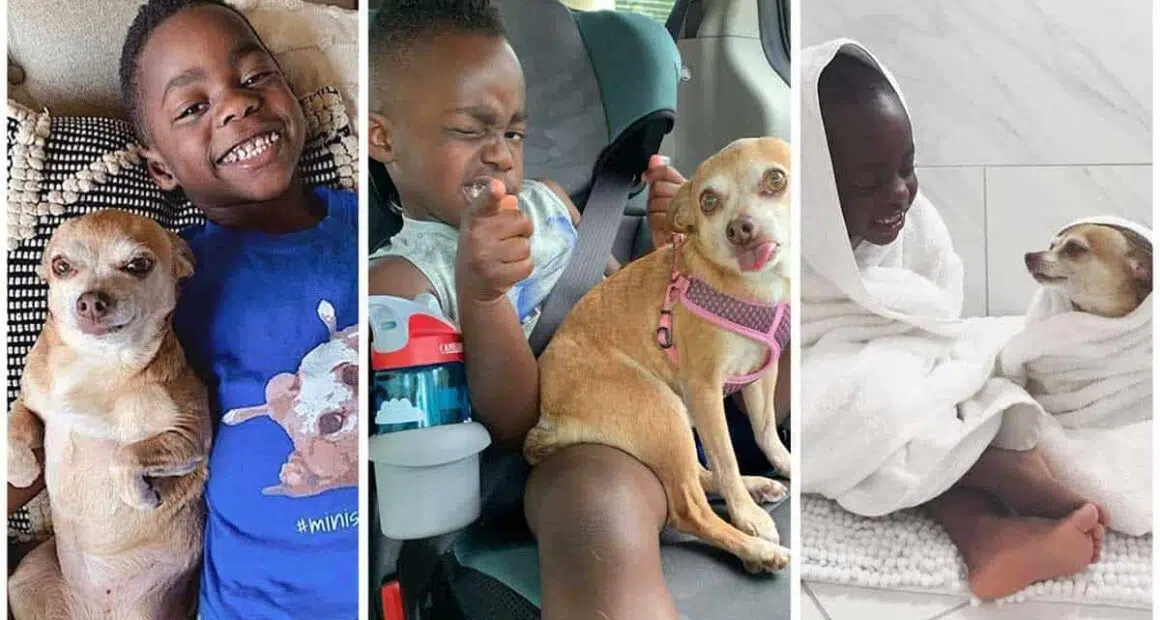 Little Boy Gets Adopted and His Life Changes After Meeting His New Best Friend the Family Dog