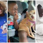 Little Boy’s Life Changes After Meeting a Chihuahua