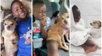 Little Boy Gets Adopted and His Life Changes After Meeting His New Best Friend the Family Dog