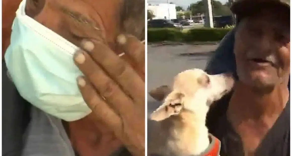 Miami Lakes Homeless Man Reunited With Stolen Dog