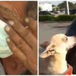 Homeless Man Reunited With Stolen Chihuahua