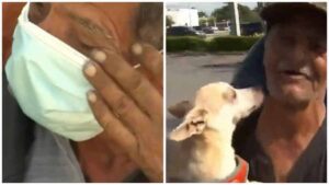 Read more about the article Homeless Man Reunited With Stolen Chihuahua