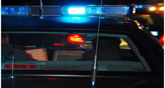 Police calls Puppy stolen during a burglary