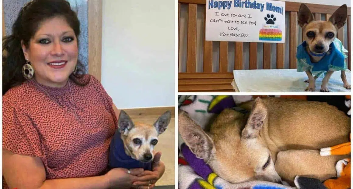 Texas woman drives 1360 miles to reunite with dog missing for 6 years