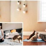 The Benefits of Chihuahua Dog Meditation