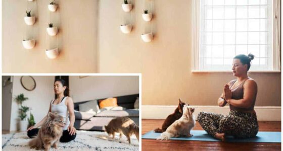 The Benefits of chihuahua Dog Meditation