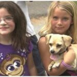 Chihuahua finds Missing Georgia Girls