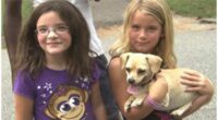 Chihuahua finds Missing Georgia Girls 2 Chihuahua finds missing Georgia girls