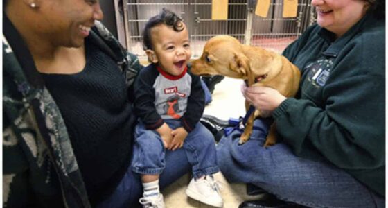 Chihuahua helps humans with the same brain condition