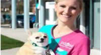 Chubby Chihuahua Reaches Final of Pet Slimming Race 2 Chubby Helensburgh Chihuahua reaches final of UKs largest pet slimming competition