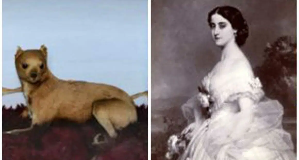 The Wonderful World of Opera Dogs Adelina Pattis Chihuahuas
