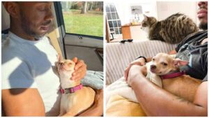 Read more about the article “I Don’t Like Small Dogs” Guy Is Won Over By A Chihuahua