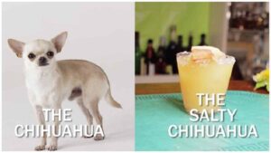 Read more about the article ‘Salty Chihuahua Cocktail’ Recipe