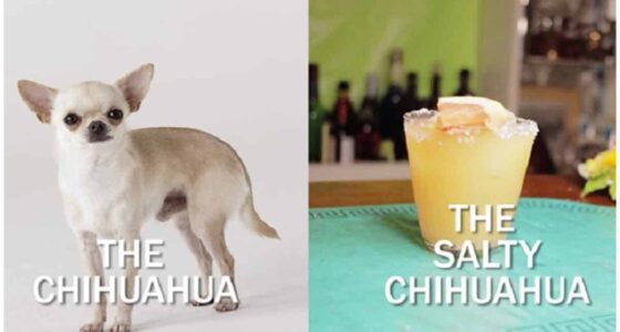 The Salty Chihuahua Cocktail Recipe Will Make You Happy And Yappy