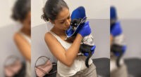 Chihuahuas Recovery Pacos Lung Surgery After Dog Attack - Chihuacorner.com