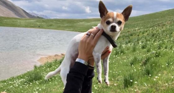 125344716 3340937672642526 8263495319448810124 o 1