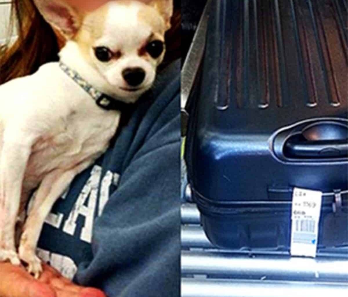 14a4e091fc0cf177dcbf5df82ed61ddc 1