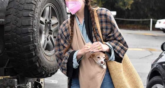 40322374 0 image a 15 1615427477263 auto x2 e1615462569643