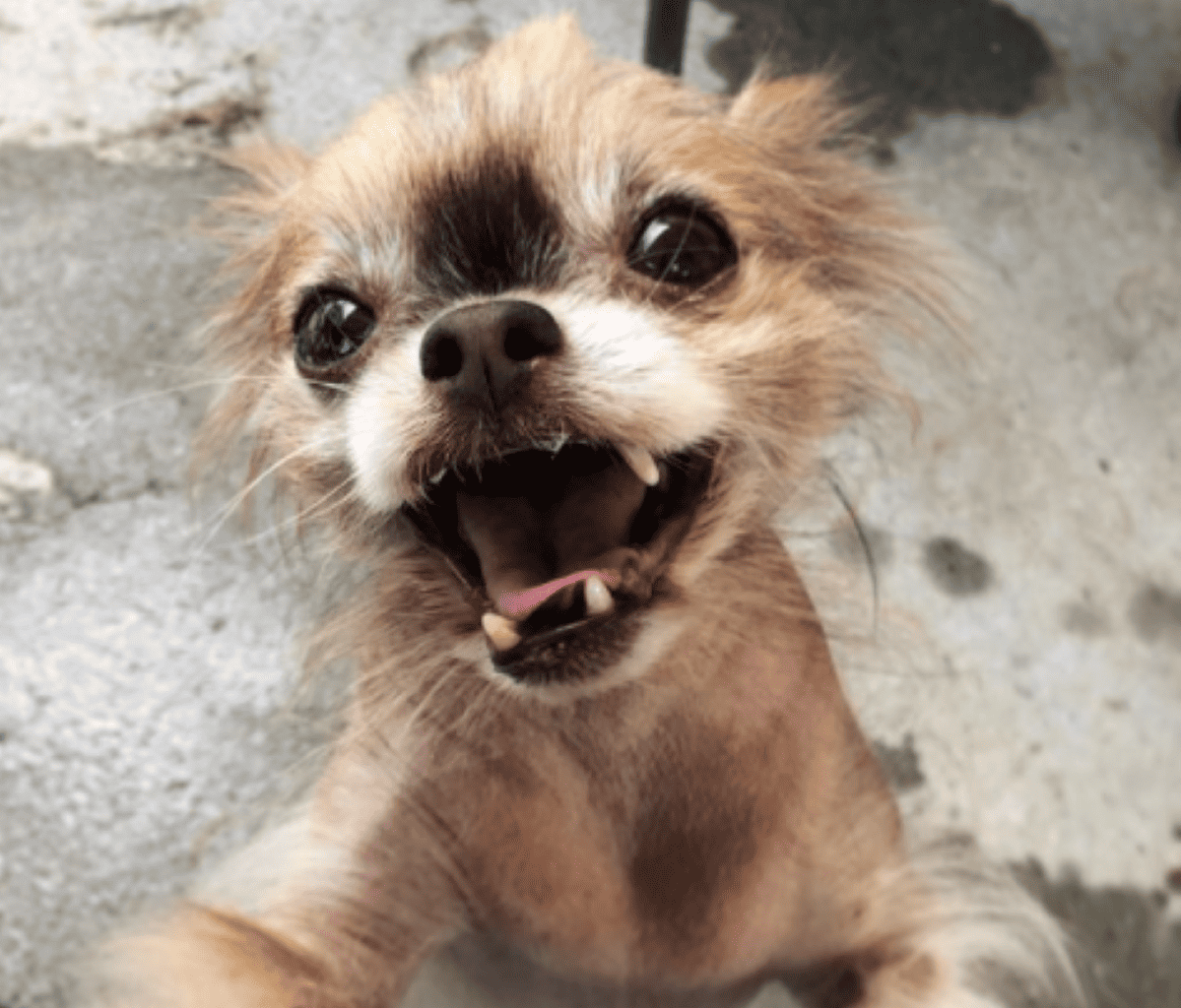 Capture 2 e1615815679759