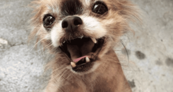 Capture 2 e1615815679759