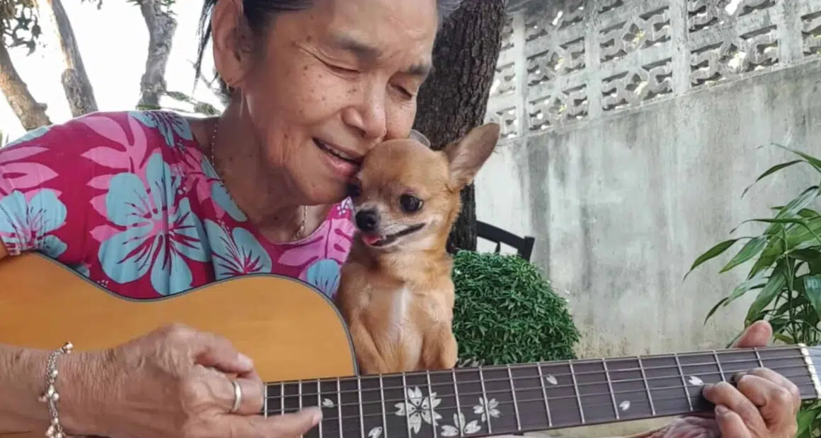 Chihuahua and music