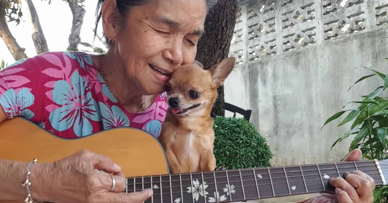 Chihuahua and music
