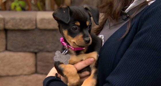 WhatsApp Image 2021 03 10 at 3.11.13 PM