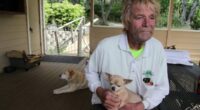 Placer County Man Punches Bear in The Face to Save His Chihuahua 2 carlmoore