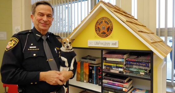 EzCMy8ZXIAAgt9x scaled