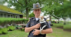 Read more about the article Sheriff Dies and Small Police Chihuahua Parts Shortly After