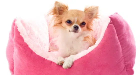 36ca78b3308b7629cb767041dec62a4f8993230b e1655995877446