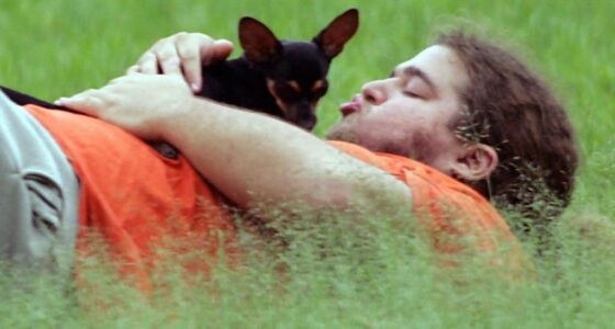 FILELostactorJorgeGarciapreciouschihuahuaWC zi3RhWb x